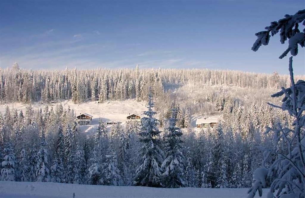 Karkutahko Villas Ruokonen Exteriér fotografie