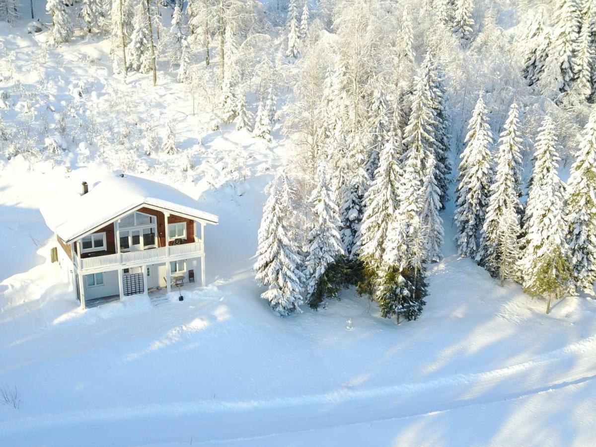 Karkutahko Villas Ruokonen Exteriér fotografie