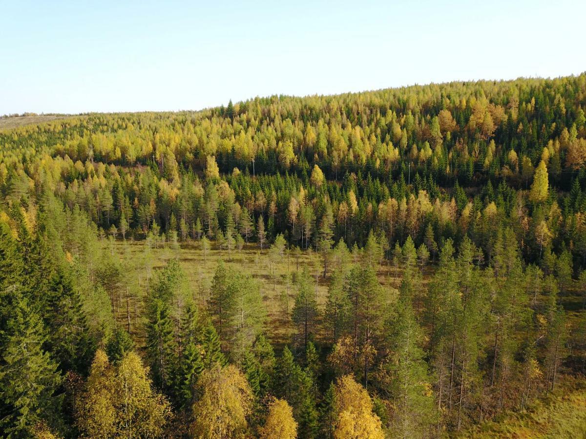Karkutahko Villas Ruokonen Exteriér fotografie